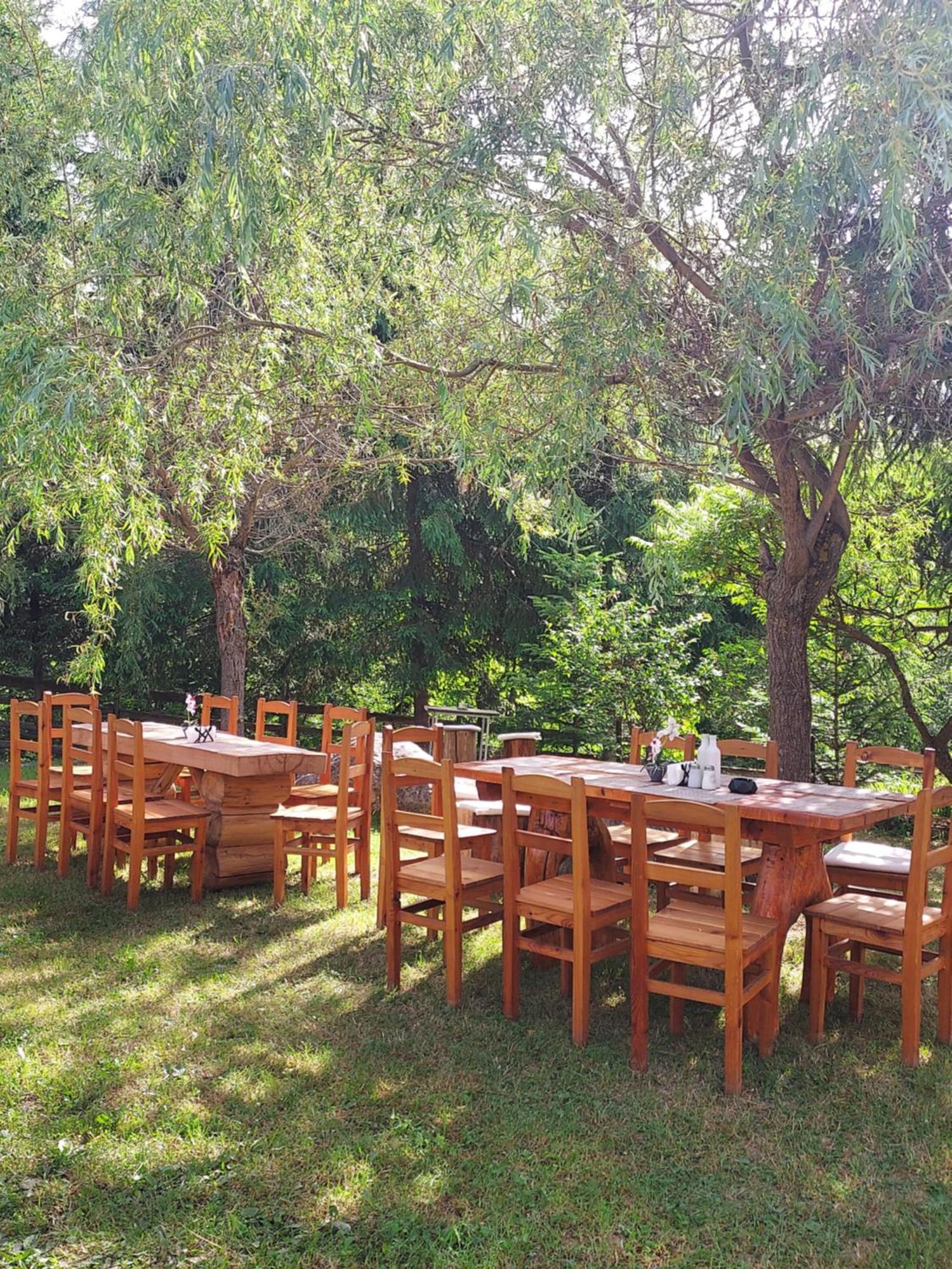 Pensiunea La Taverna Trăisteni 外观 照片