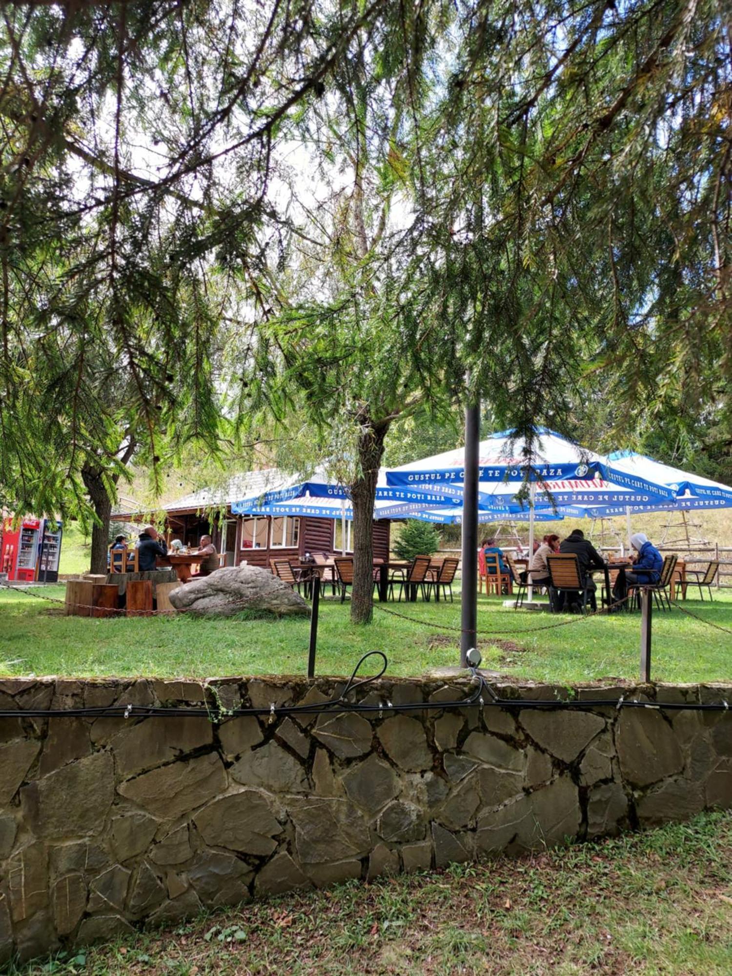 Pensiunea La Taverna Trăisteni 外观 照片