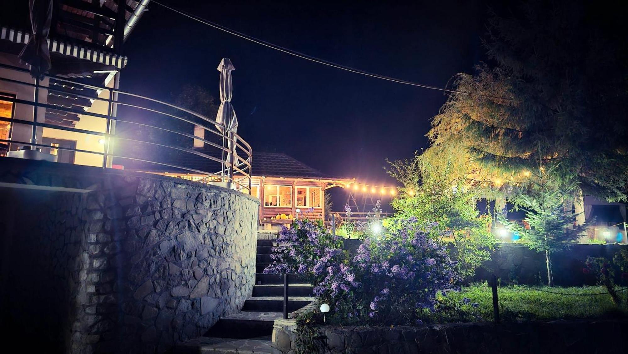 Pensiunea La Taverna Trăisteni 外观 照片