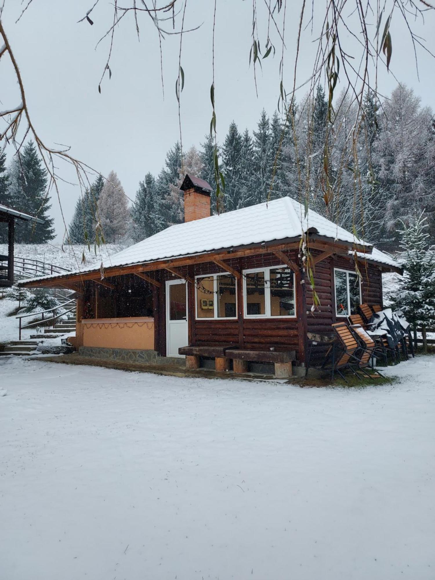 Pensiunea La Taverna Trăisteni 外观 照片